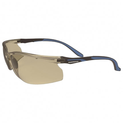 Swordfish Bronze Safety Spec, Anti-fog